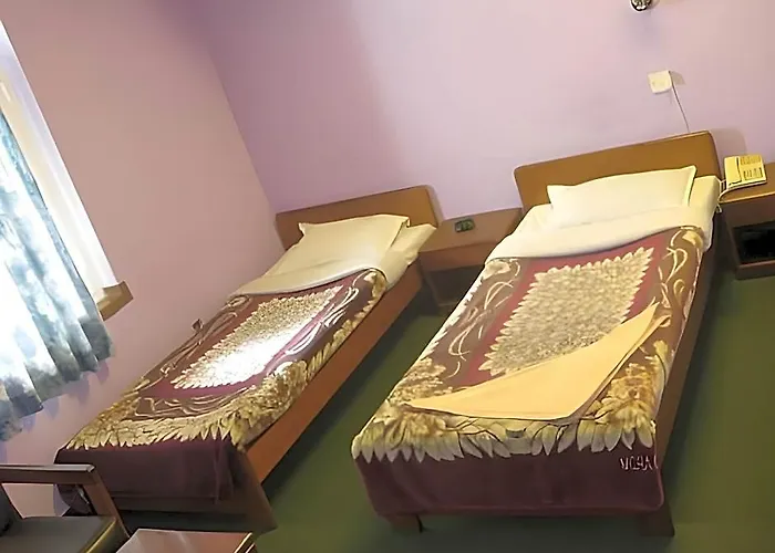Hotel Potala Tourist